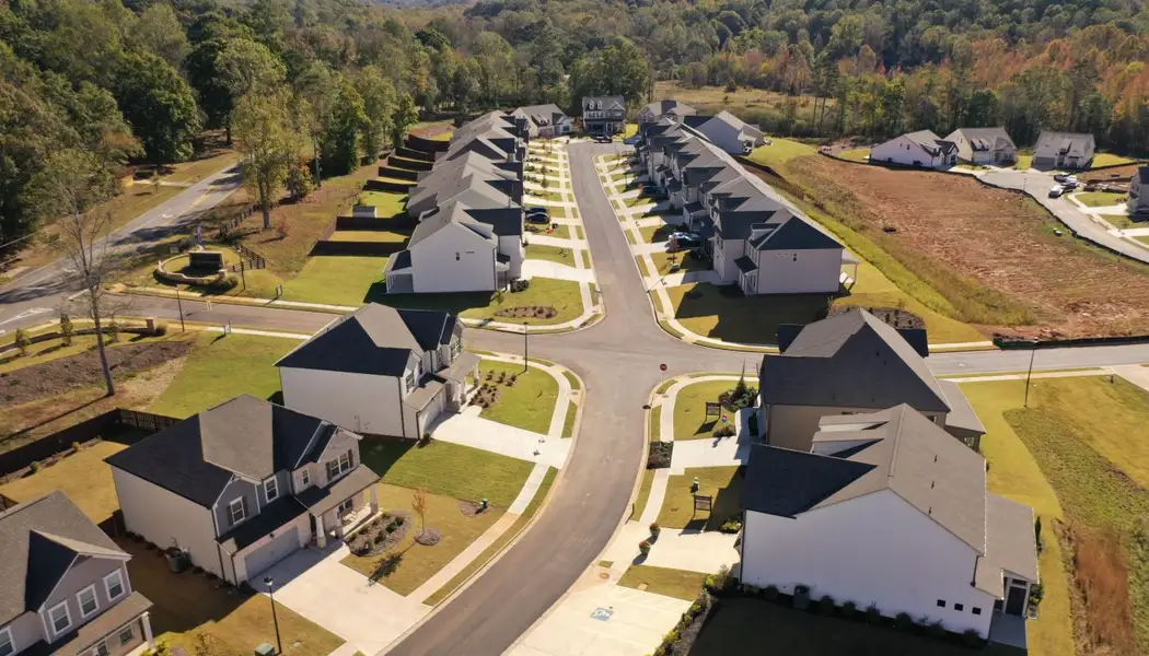 Aerial view of the Ponderosa Farms Reserve community in Gainesville, GA, showing layout and nearby surroundings (Image 11).