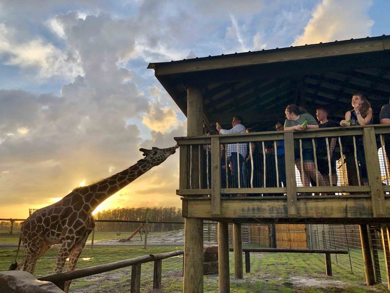 Image 40 of the Suncrest community in St. Cloud, FL. Image 40 of the Suncrest community in St. Cloud, FL.