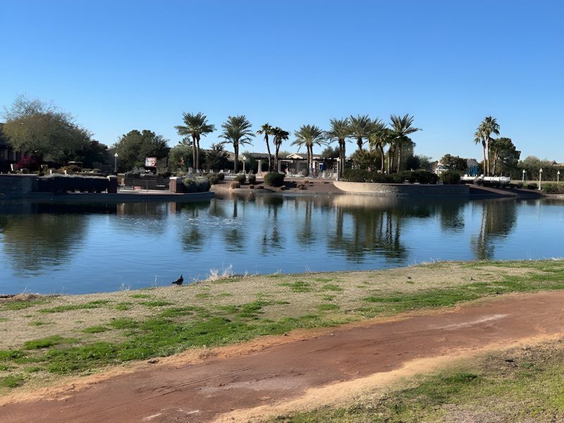 A scenic lake view with palm trees in The Preserve at Province II by Meritage Homes (Maricopa, AZ).
