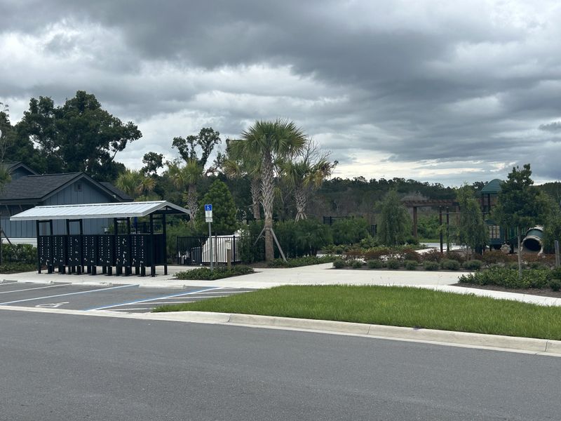 A serene community area with lush greenery in Oakfield at Mount Dora Cottage Series by David Weekley Homes (Mount Dora, FL).