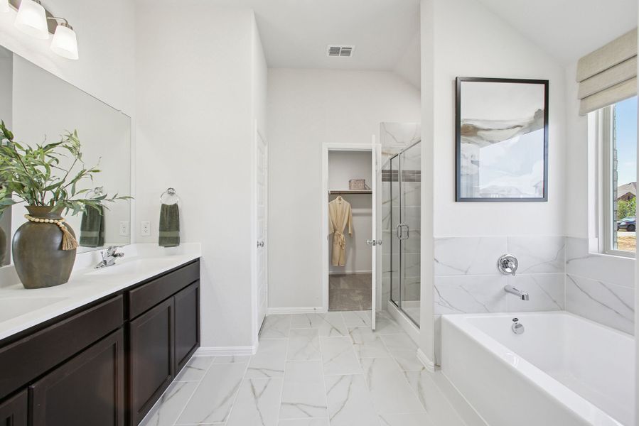 Owner's Bathroom