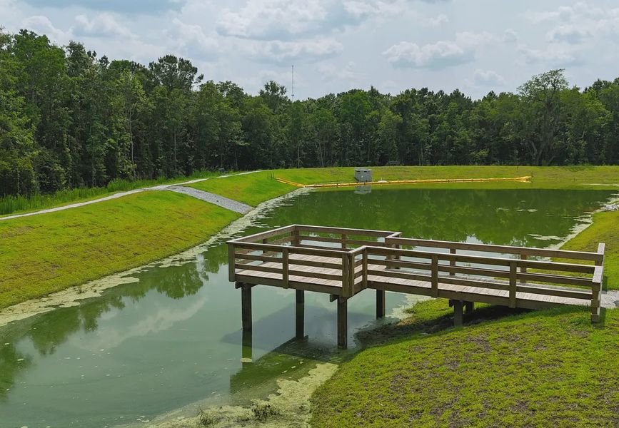 Natural surroundings and green spaces near Halstead in Moncks Corner, SC (Image 13).