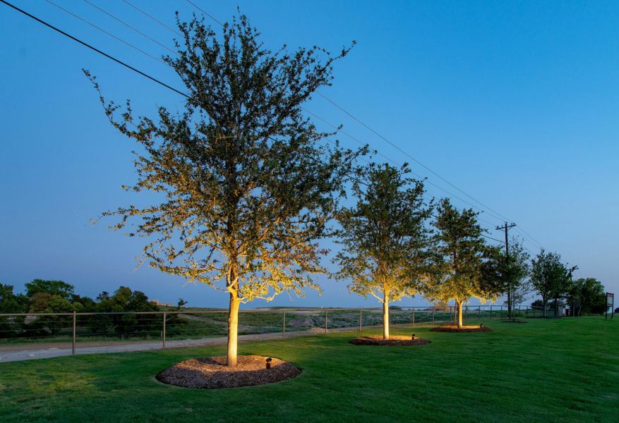 Image 13 of the The Residences at Cottage Hill community in Celina, TX. Image 13 of the The Residences at Cottage Hill community in Celina, TX.