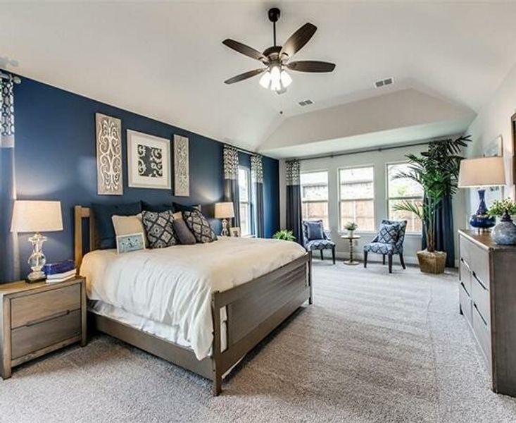 Image 16 of the Buffalo Ridge community in Waxahachie, TX.