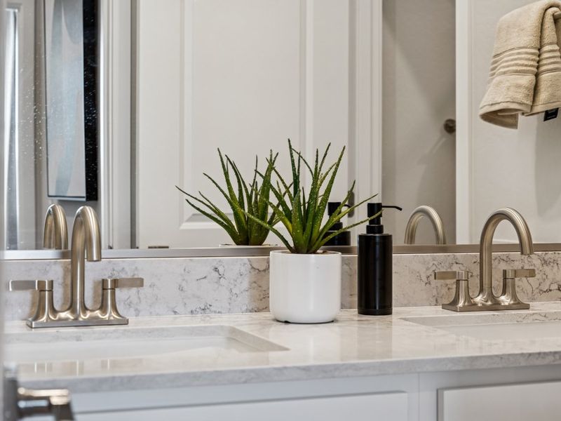 A bathroom with a plant in a pot. A bathroom with a plant in a pot.