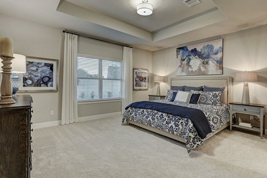 Image 9 of the Sterling Lakes community in Arcola, TX.