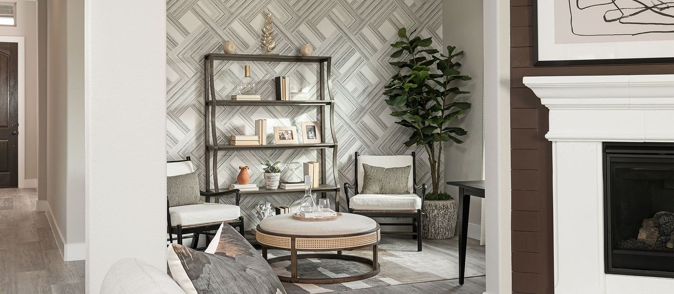 Image 4 of the Stark Farms community in Denton, TX.