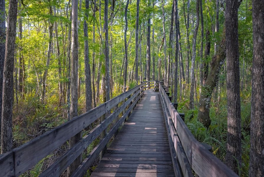 Ibis Landing Golf Country Club Ibis Landing Golf Country Club