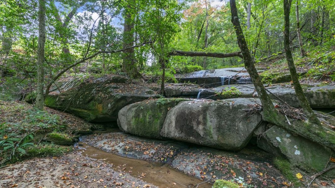 Image 51 of the Kalas Falls community in Wake Forest, NC. Image 51 of the Kalas Falls community in Wake Forest, NC.