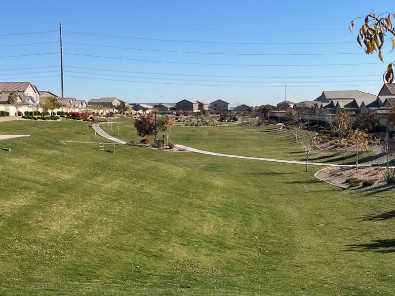 Expansive green park with winding paths in Northern Farms by Landsea Homes, Waddell, AZ, surrounded by charming homes. Expansive green park with winding paths in Northern Farms by Landsea Homes, Waddell, AZ, surrounded by charming homes.