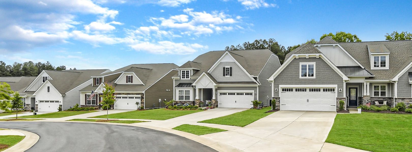 Elizabeth Meadows Collection