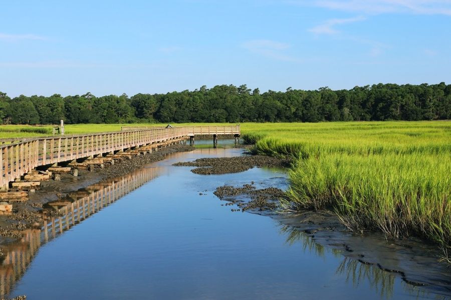Natural surroundings and green spaces near Inlet Keys in Murrells Inlet, SC (Image 9).