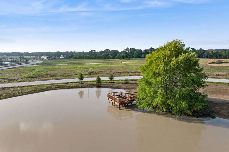 Pond Pond