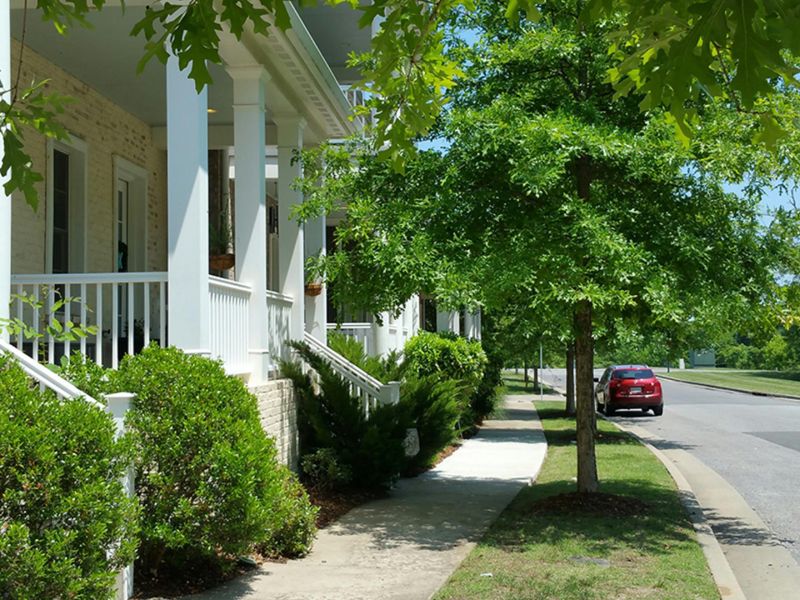 Street Scene at Carothers Farms