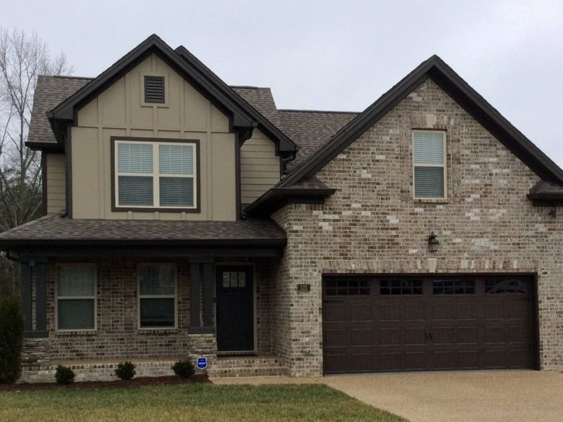 Forest of Lebanon/Ph2,37087