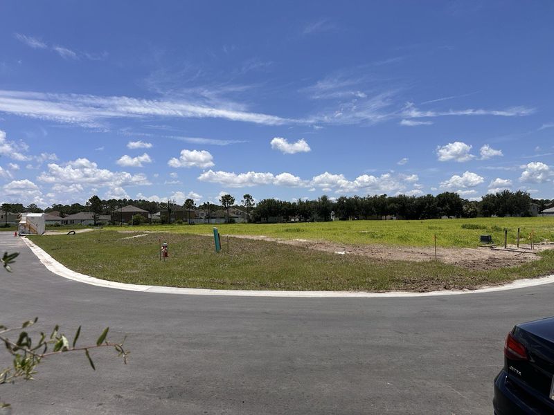 A spacious, grassy lot with clear skies in The Sanctuary Townhomes by KB Home, Clermont, FL. A spacious, grassy lot with clear skies in The Sanctuary Townhomes by KB Home, Clermont, FL.