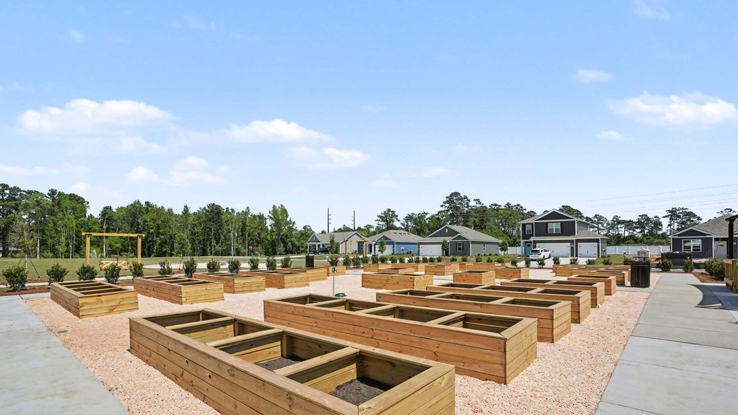 Image 18 of the Winfield Farms community in Myrtle Beach, SC.