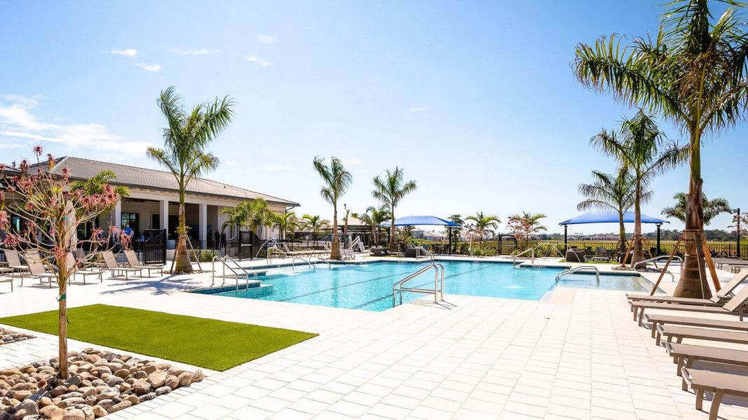 Community amenity available to residents of Vistera of Venice Real Estate and Homes for Sale in Venice, FL - Neal Communities in Nokomis (Image 23).