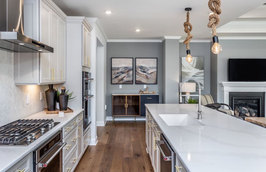 Beautiful Gourmet Kitchens