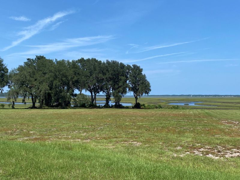 Natural surroundings and green spaces near Edwards Creek Estates in Jacksonville, FL (Image 29). Natural surroundings and green spaces near Edwards Creek Estates in Jacksonville, FL (Image 29).
