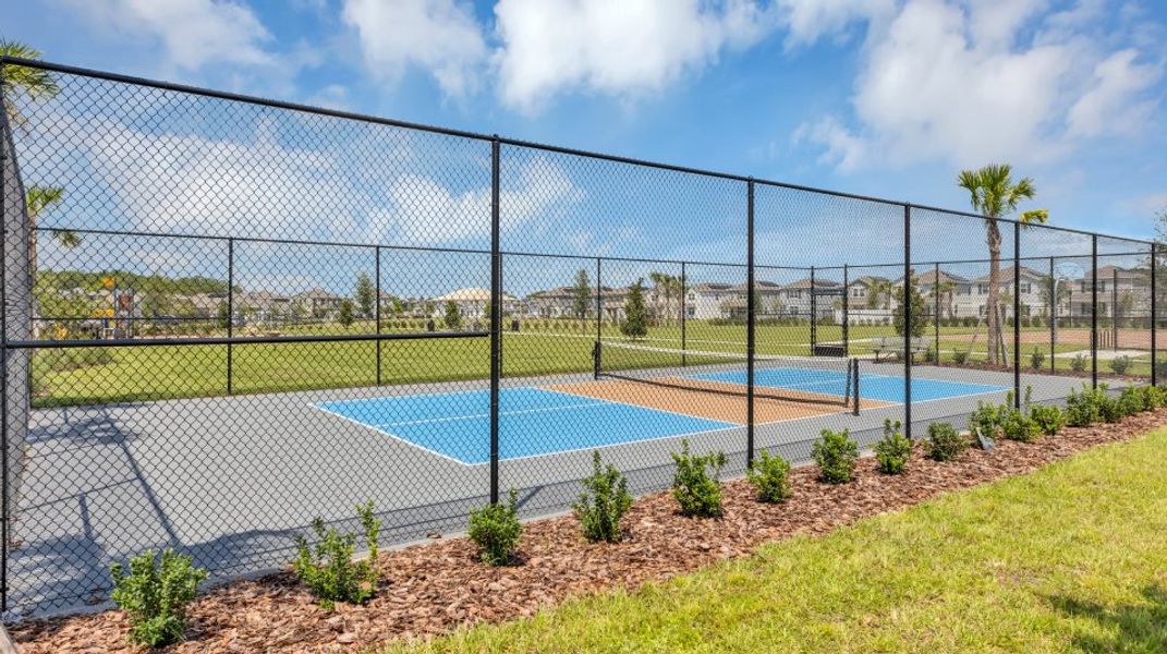 Pickleball court