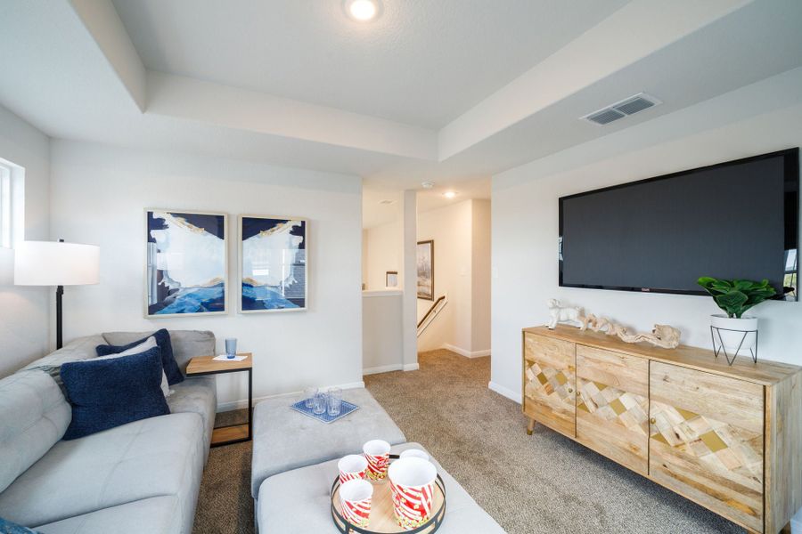 Katzer Ranch - Telluride - Game Room