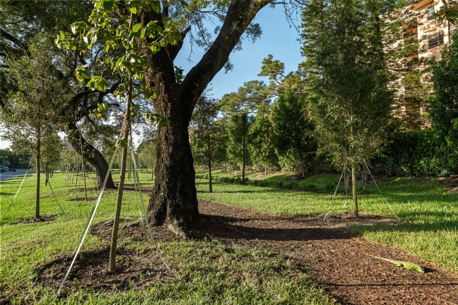 Natural surroundings and green spaces near Forest in Lake Worth, FL (Image 34).