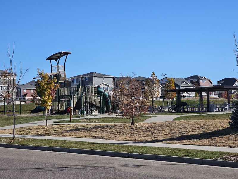 A charming park with a playground and picnic area in Erie Highlands by Oakwood Homes Co (Erie, CO).