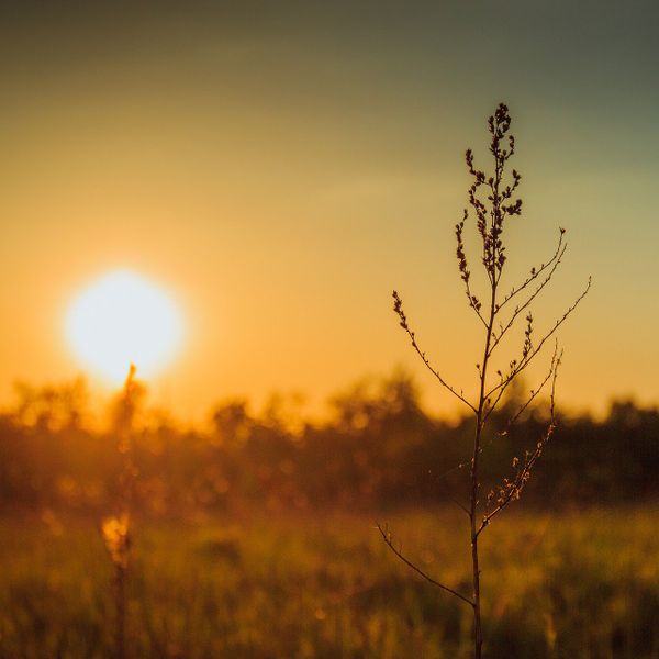 Natural surroundings and green spaces near River Tide Farms in Bolivia, NC (Image 55).
