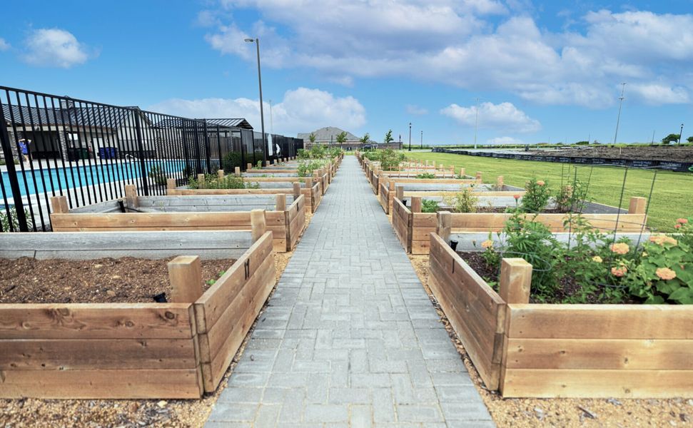 Community amenity available to residents of Sutton Fields in Celina (Image 2).