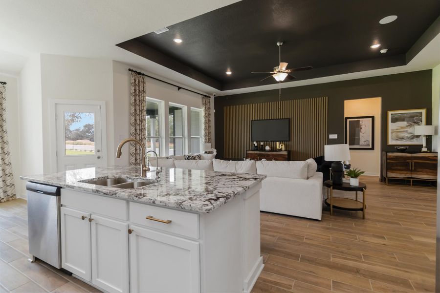 3502 Prairie Cactus - Arlington Model