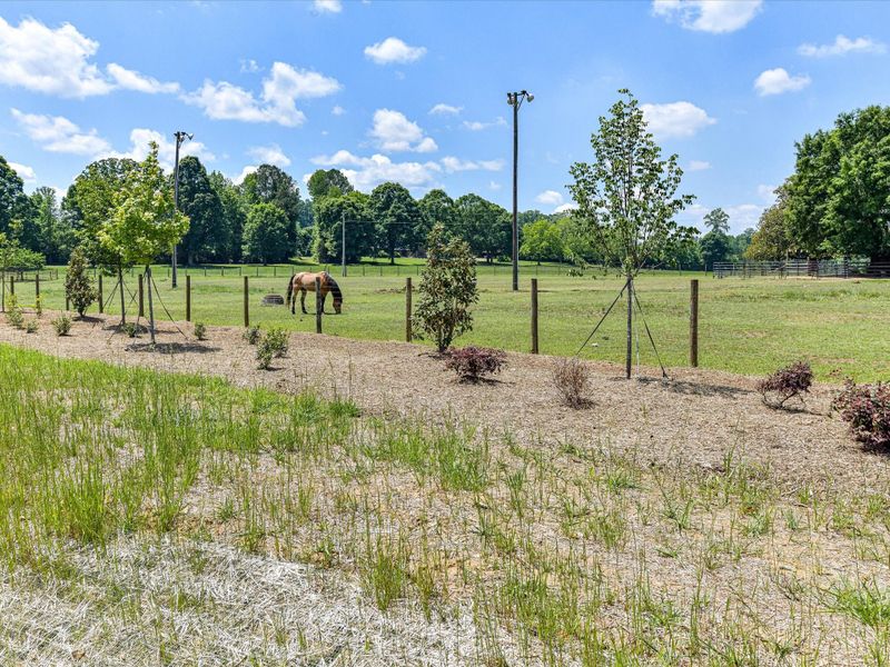 Natural surroundings and green spaces near Stephens Farm in Huntersville, NC (Image 17). Natural surroundings and green spaces near Stephens Farm in Huntersville, NC (Image 17).