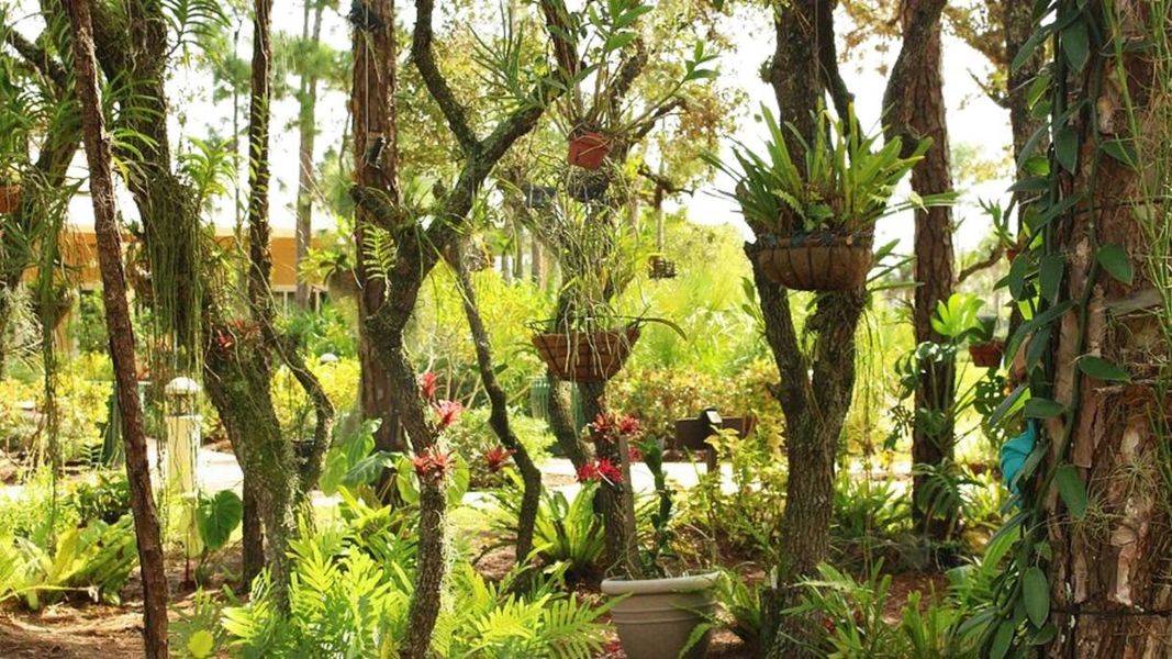 Natural surroundings and green spaces near Mosaic in Port St. Lucie, FL (Image 40).
