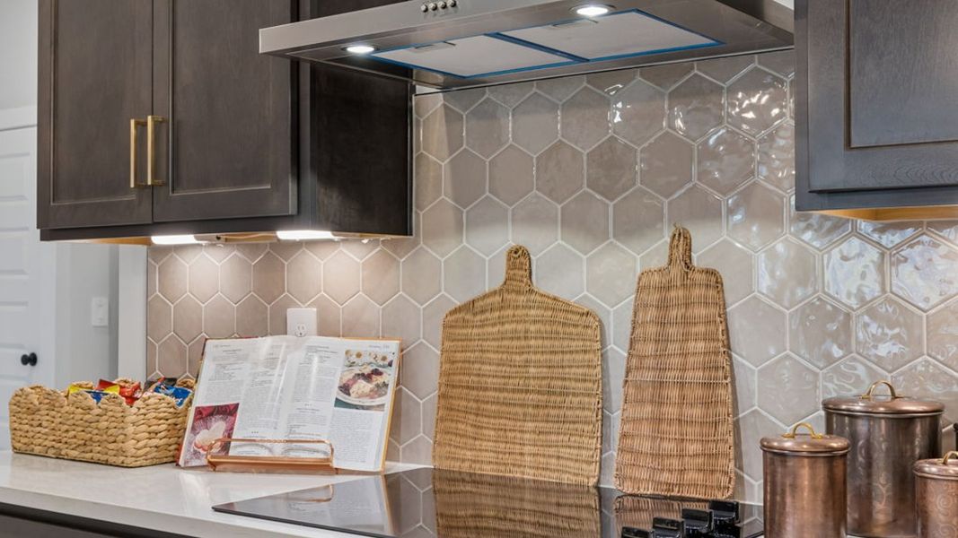 Close-up of interior finishes in a home at Reserve at Hickory Ridge, Columbia (Image 116).
