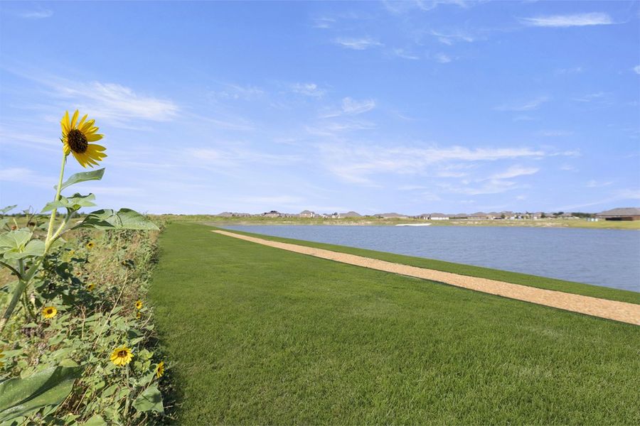 Natural surroundings and green spaces near Walden Pond in Forney, TX (Image 12).