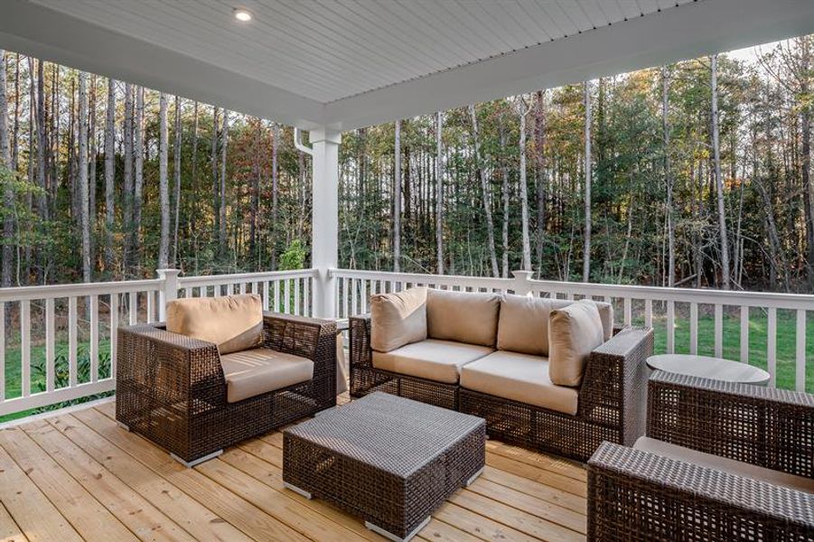 Exterior details of a home in Crystal Falls Estates, Dawsonville (Image 3).