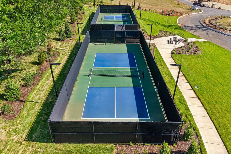 Pickleball Court