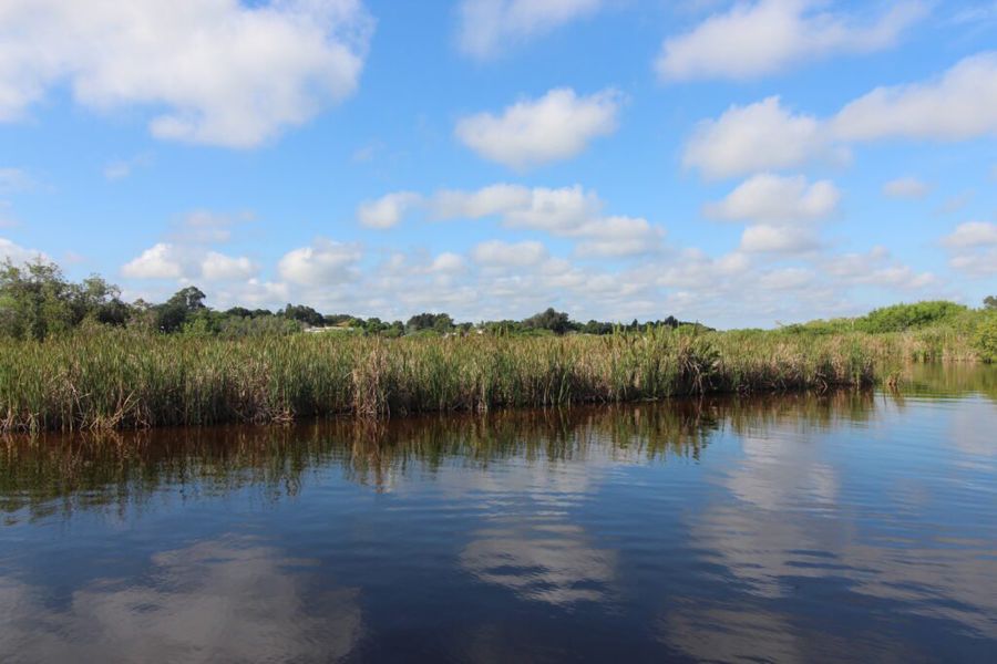 Natural surroundings and green spaces near Palm Bay in Palm Bay, FL (Image 44).
