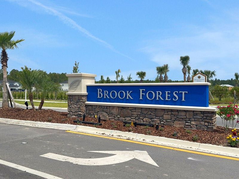 Brook Forest, a new home community in St. Augustine, FL