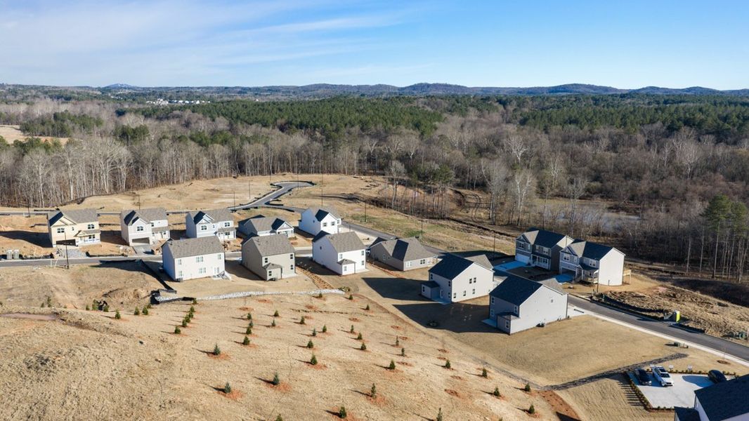 Aerial view of the Sheffield Highlands community in Dallas, GA, showing layout and nearby surroundings (Image 11).
