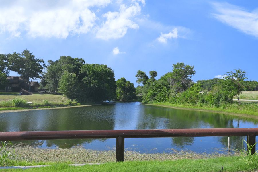 Natural surroundings and green spaces near Cotten Creek in Azle, TX (Image 10). Natural surroundings and green spaces near Cotten Creek in Azle, TX (Image 10).