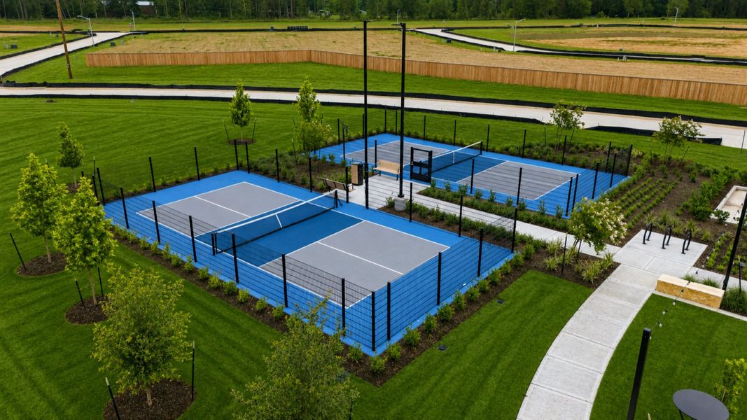 Pickleball Courts at The Landing in Cielo