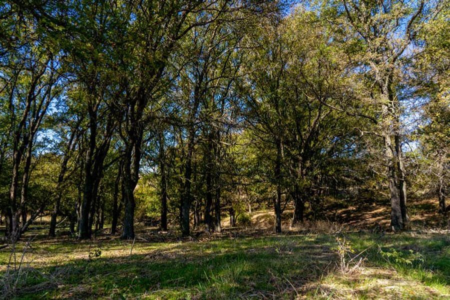 Image 6 of the Bella Communities master-planned community in Fort Worth, TX.