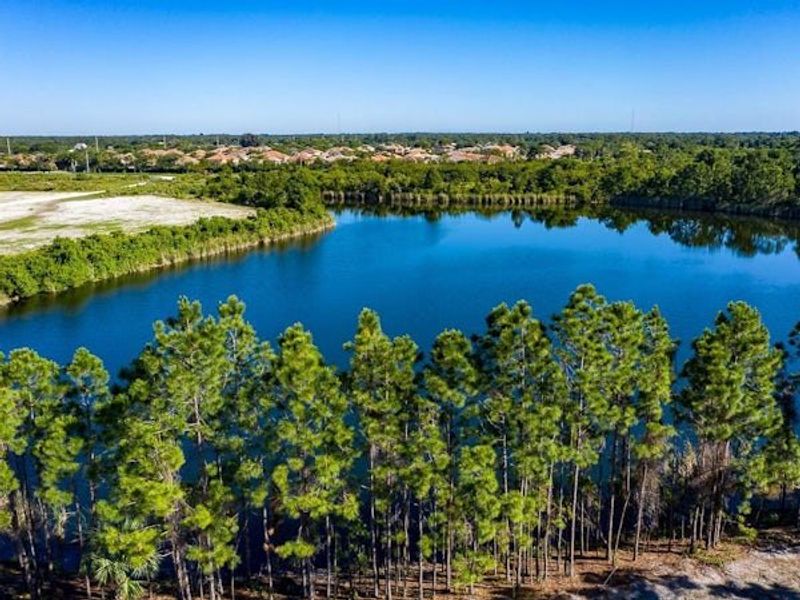 Natural surroundings and green spaces near Bent Pine Preserve in Vero Beach, FL (Image 80).