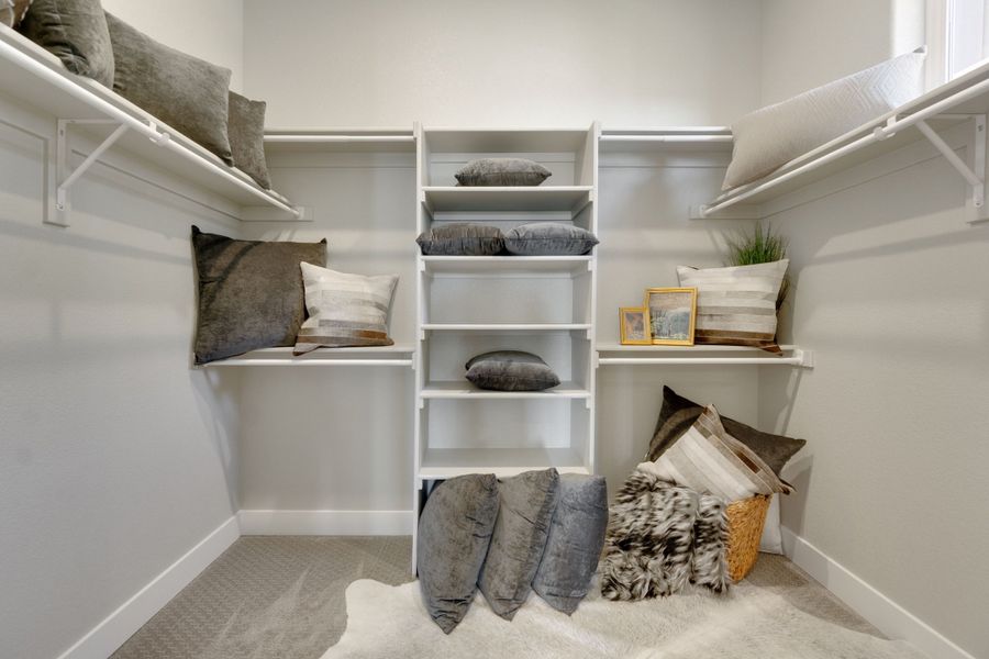 Aurora Highlands,80019 Aurora Highlands,80019