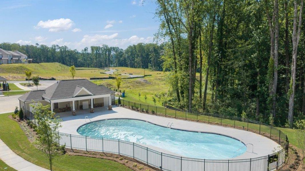 Community amenity available to residents of Grandview at Lanier in Dawsonville (Image 3).