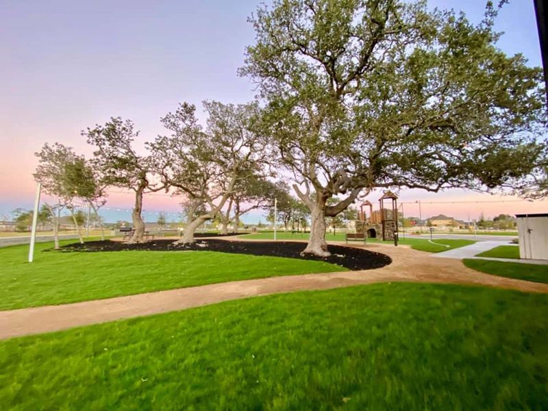 Natural surroundings and green spaces near Meyer Ranch in New Braunfels, TX (Image 33).