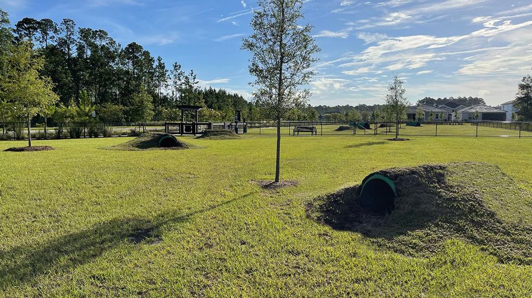 Tributary Amenities Dog Park 1 10 31 25