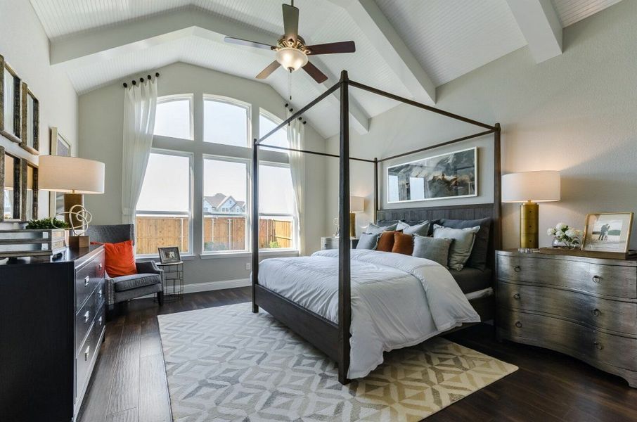 Image 5 of the Lexington Country Heritage Series community in Frisco, TX.