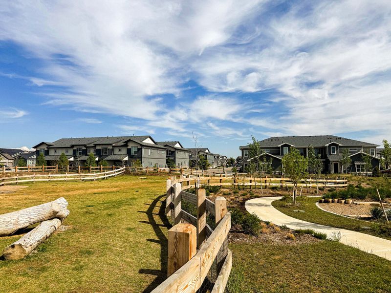 Community amenity available to residents of The Lakes at Centerra in Loveland (Image 3).